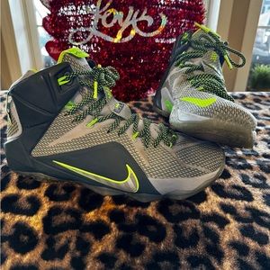 Nike Lebron 12 Dunkman shoes